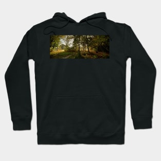 Preston Park, Stockton on Tees Hoodie